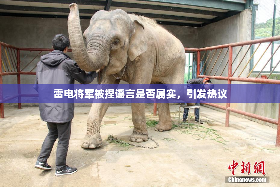 雷电将军被捏谣言是否属实，引发热议