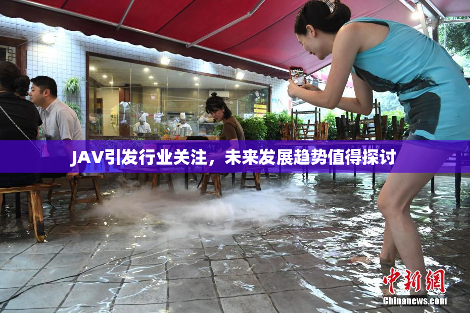 JAV引发行业关注，未来发展趋势值得探讨