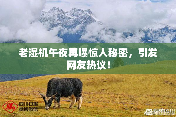 老湿机午夜再曝惊人秘密，引发网友热议！