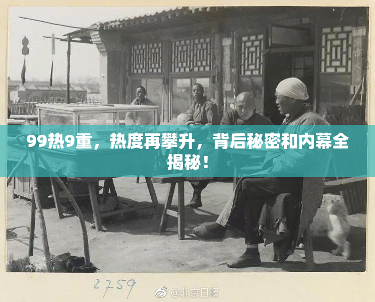 99热9重，热度再攀升，背后秘密和内幕全揭秘！