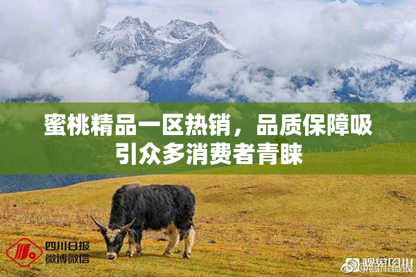 蜜桃精品一区热销，品质保障吸引众多消费者青睐