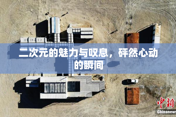 二次元的魅力与叹息，砰然心动的瞬间
