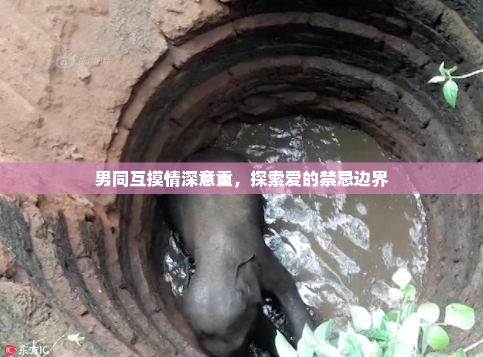 男同互摸情深意重，探索爱的禁忌边界