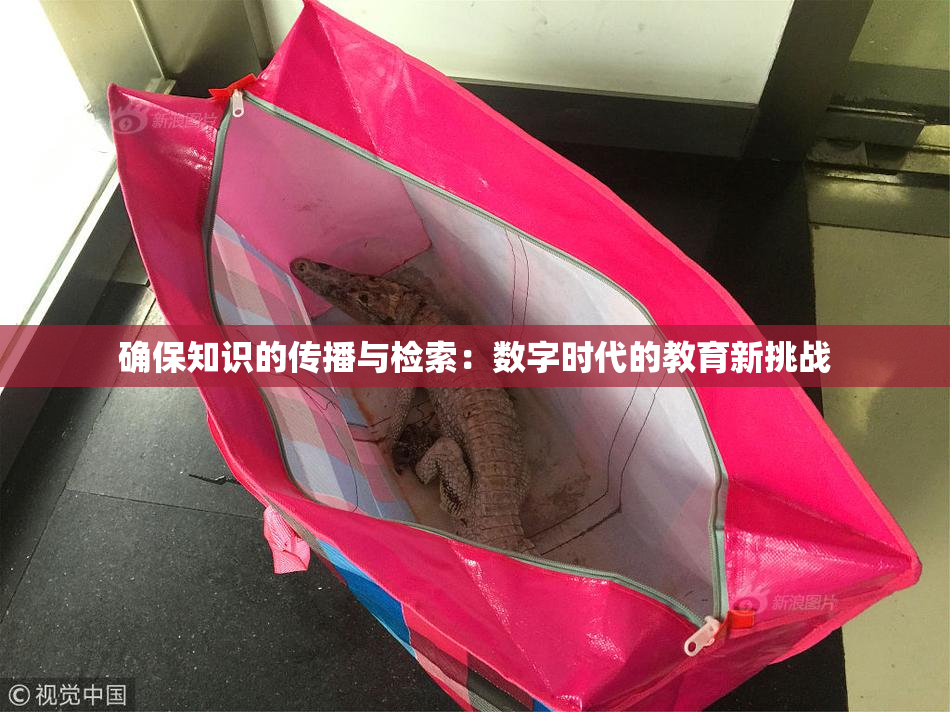 确保知识的传播与检索：数字时代的教育新挑战
