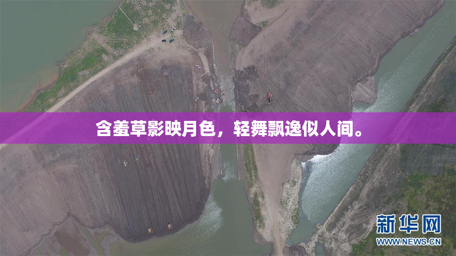含羞草影映月色，轻舞飘逸似人间。