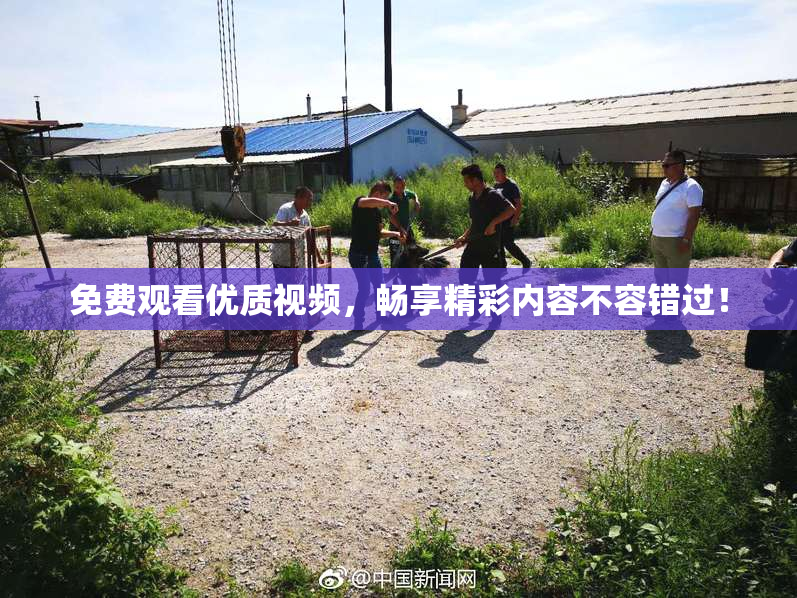 免费观看优质视频，畅享精彩内容不容错过！
