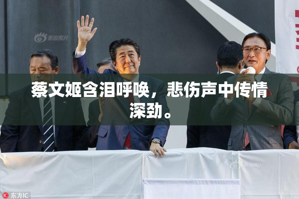 蔡文姬含泪呼唤，悲伤声中传情深劲。