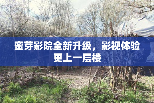 蜜芽影院全新升级，影视体验更上一层楼