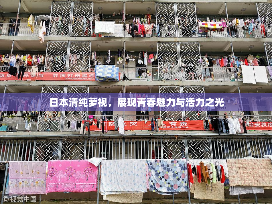 日本清纯萝视，展现青春魅力与活力之光