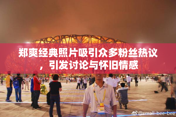 郑爽经典照片吸引众多粉丝热议，引发讨论与怀旧情感
