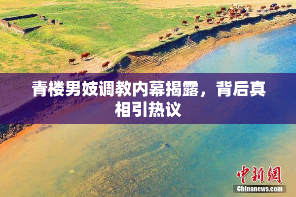 青楼男妓调教内幕揭露，背后真相引热议