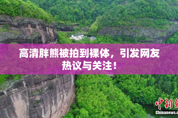 高清胖熊被拍到裸体，引发网友热议与关注！