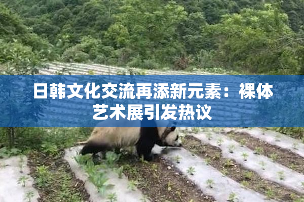 日韩文化交流再添新元素：裸体艺术展引发热议
