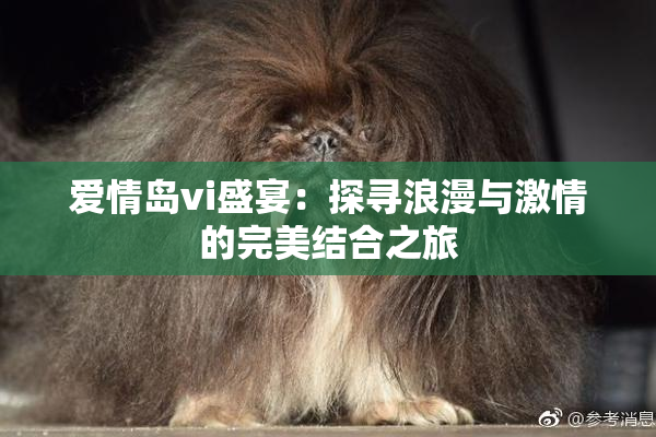 爱情岛vi盛宴：探寻浪漫与激情的完美结合之旅