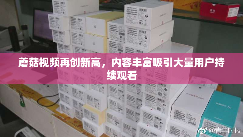 蘑菇视频再创新高，内容丰富吸引大量用户持续观看
