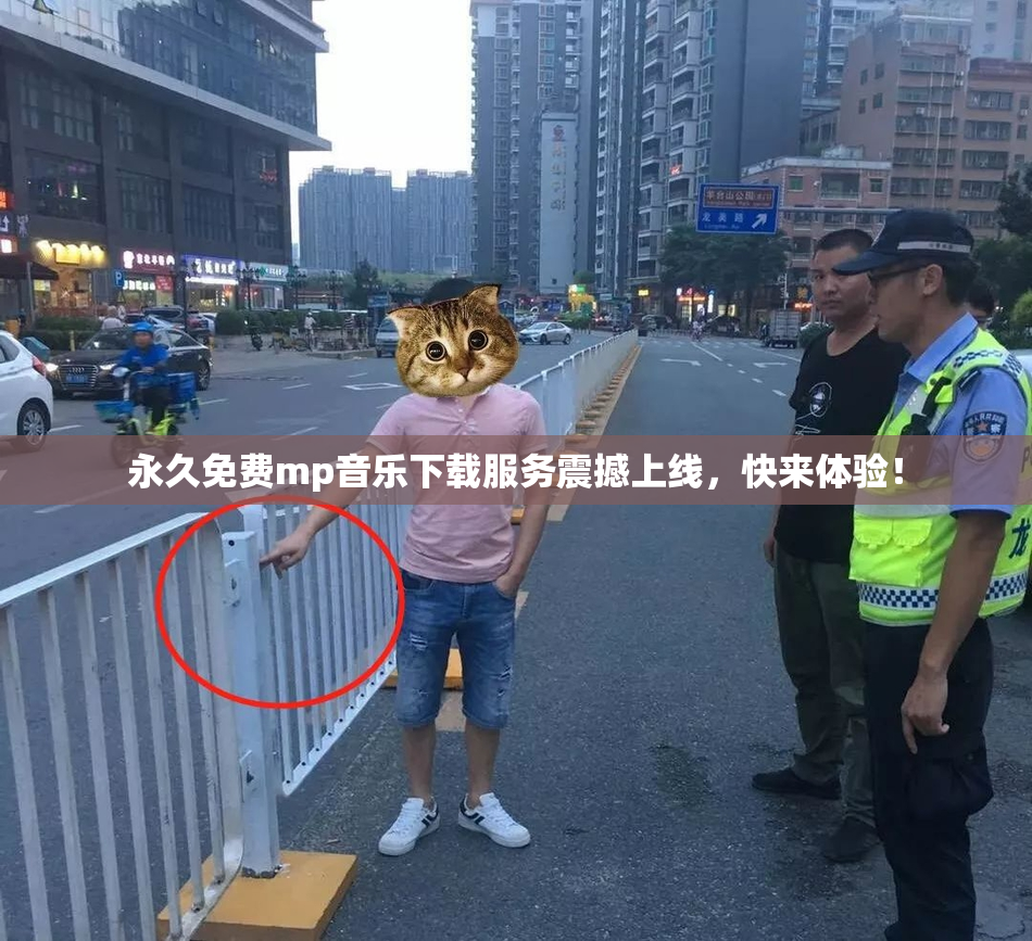 永久免费mp音乐下载服务震撼上线，快来体验！