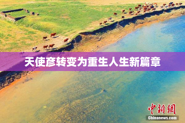 天使彦转变为重生人生新篇章