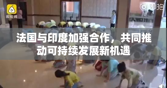法国与印度加强合作，共同推动可持续发展新机遇