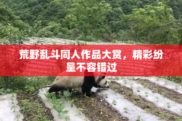 荒野乱斗同人作品大赏，精彩纷呈不容错过