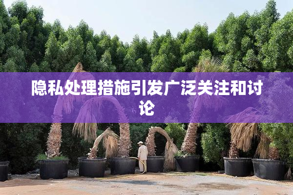 隐私处理措施引发广泛关注和讨论