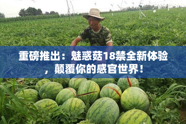 重磅推出：魅惑菇18禁全新体验，颠覆你的感官世界！