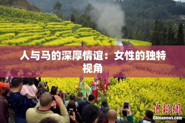 人与马的深厚情谊：女性的独特视角