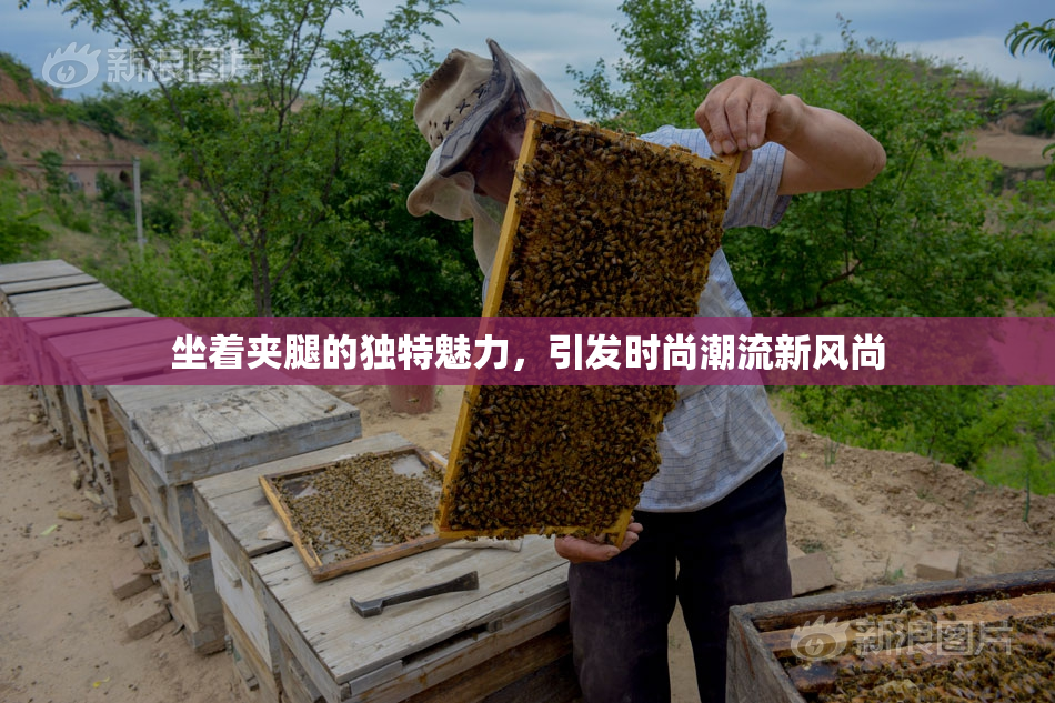 坐着夹腿的独特魅力，引发时尚潮流新风尚