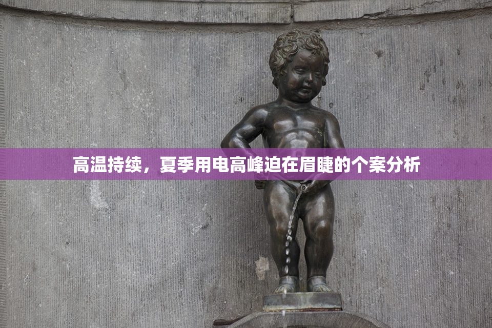 高温持续，夏季用电高峰迫在眉睫的个案分析