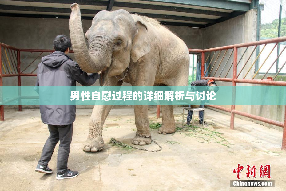 男性自慰过程的详细解析与讨论
