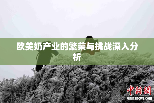 欧美奶产业的繁荣与挑战深入分析