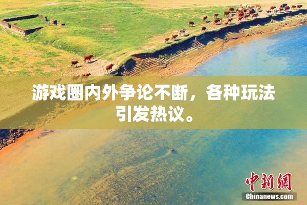 游戏圈内外争论不断，各种玩法引发热议。
