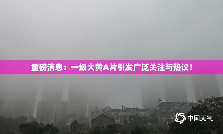 重磅消息：一级大黄A片引发广泛关注与热议！