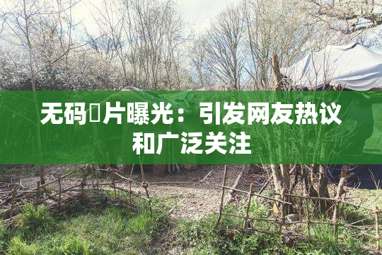 无码婬片曝光：引发网友热议和广泛关注