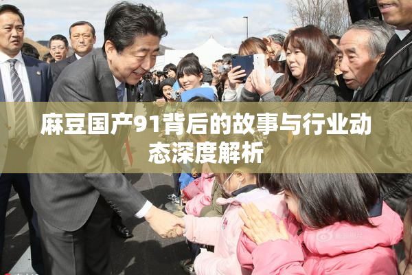 麻豆国产91背后的故事与行业动态深度解析