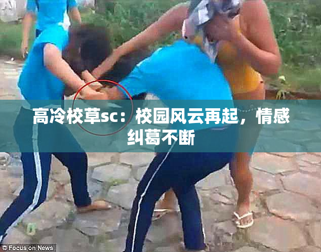 高冷校草sc：校园风云再起，情感纠葛不断