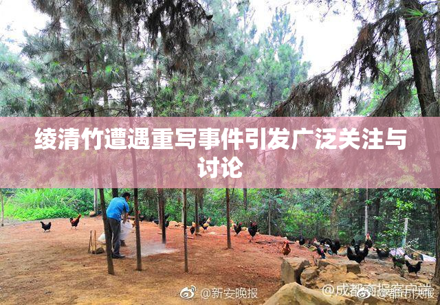 绫清竹遭遇重写事件引发广泛关注与讨论