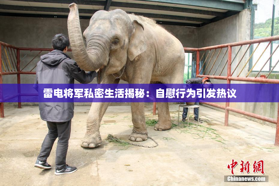 雷电将军私密生活揭秘：自慰行为引发热议