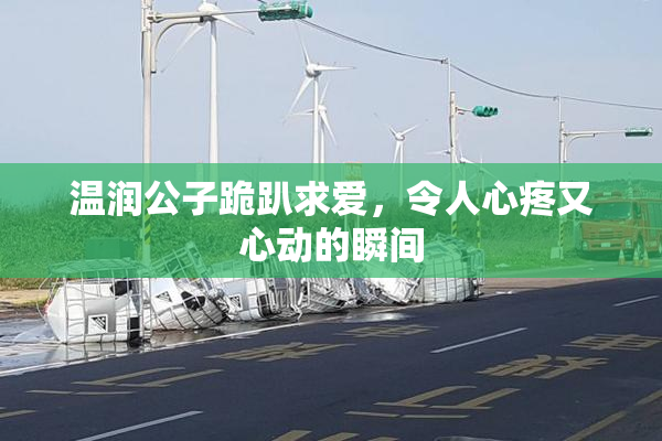 温润公子跪趴求爱，令人心疼又心动的瞬间