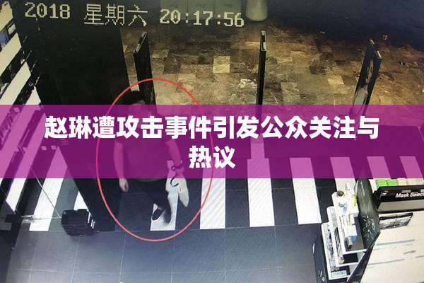 赵琳遭攻击事件引发公众关注与热议