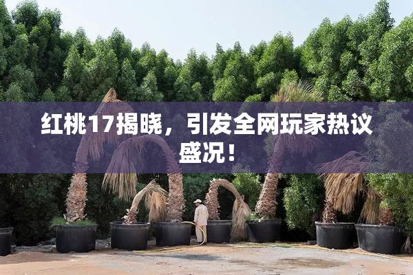 红桃17揭晓，引发全网玩家热议盛况！