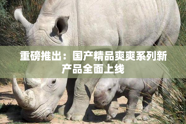 重磅推出：国产精品爽爽系列新产品全面上线