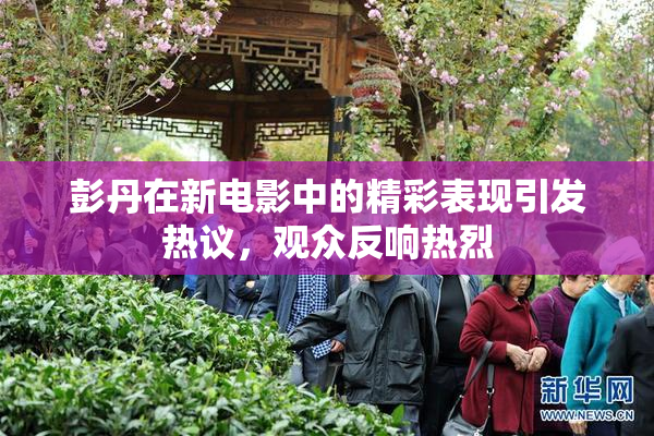彭丹在新电影中的精彩表现引发热议，观众反响热烈