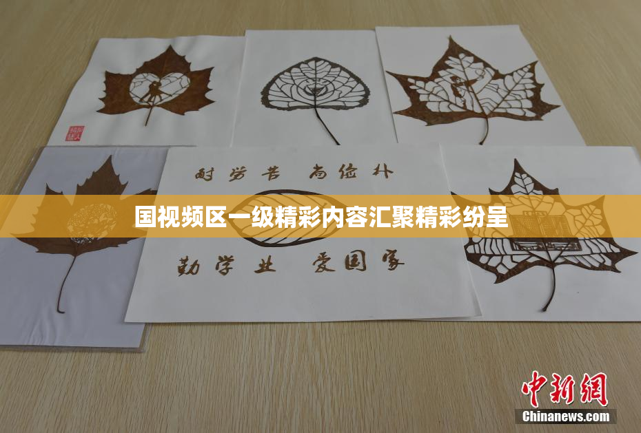 国视频区一级精彩内容汇聚精彩纷呈