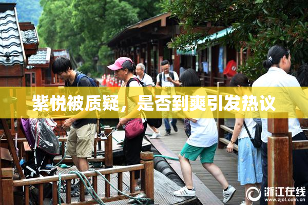 紫悦被质疑，是否到爽引发热议