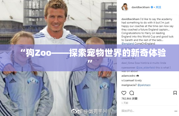 “狗Zoo——探索宠物世界的新奇体验”