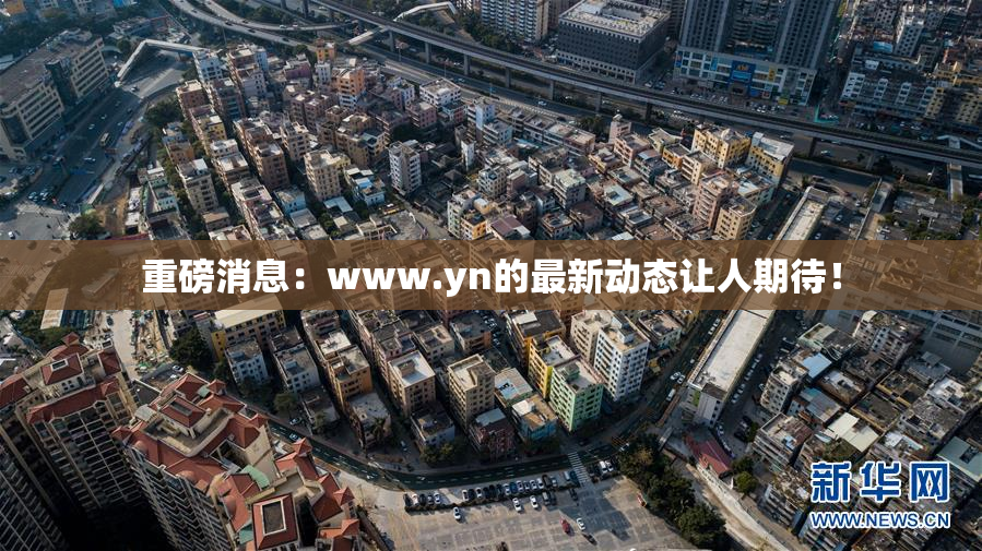重磅消息：www.yn的最新动态让人期待！