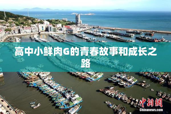 高中小鲜肉G的青春故事和成长之路