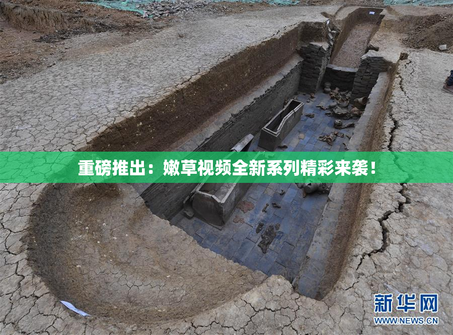 重磅推出：嫩草视频全新系列精彩来袭！
