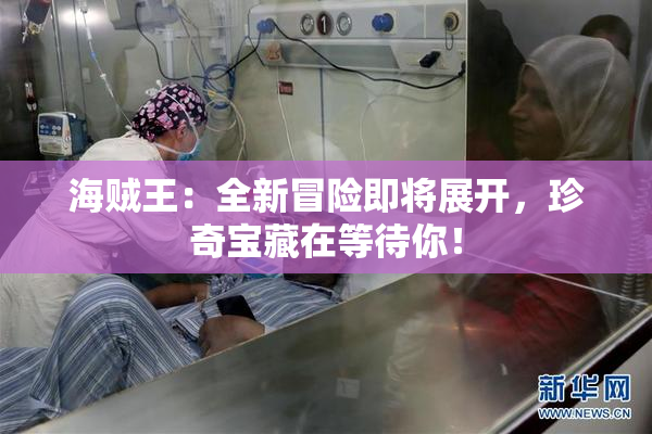 海贼王：全新冒险即将展开，珍奇宝藏在等待你！