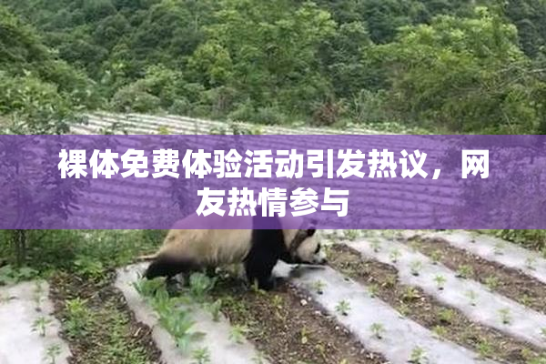 裸体免费体验活动引发热议，网友热情参与